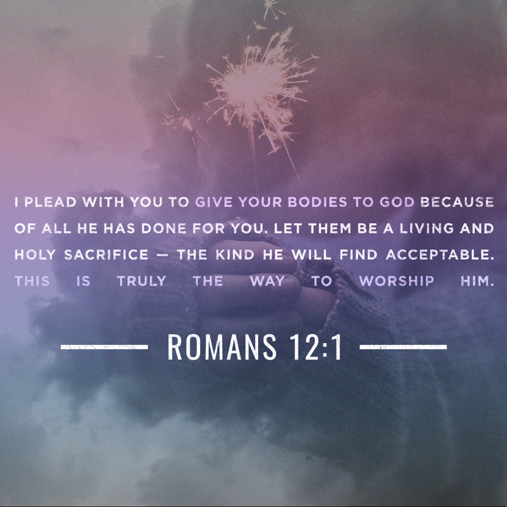 Meet your Posher, Maddy